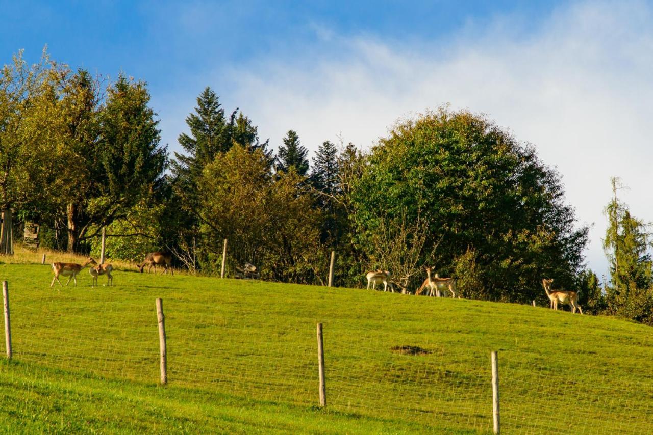Schrahlehen Bed & Breakfast Wagrain Bagian luar foto